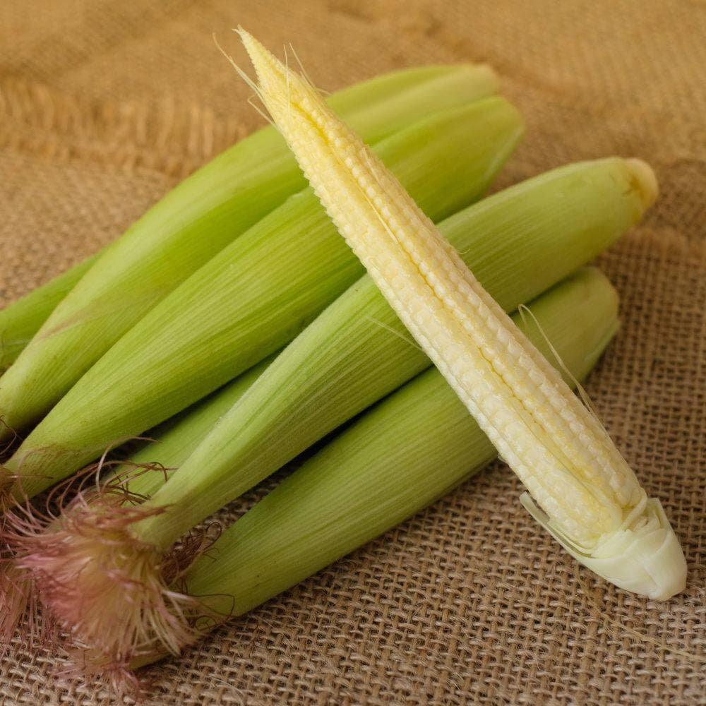 Baby Corn Unpeeled